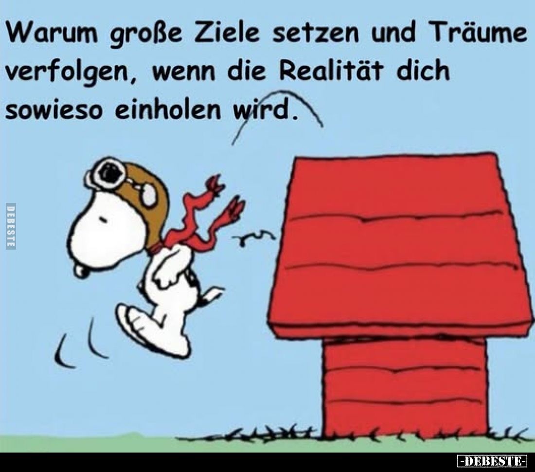 Warum große Ziele setzen und Träume verfolgen, wenn die Realität dich sowieso einholen wird.