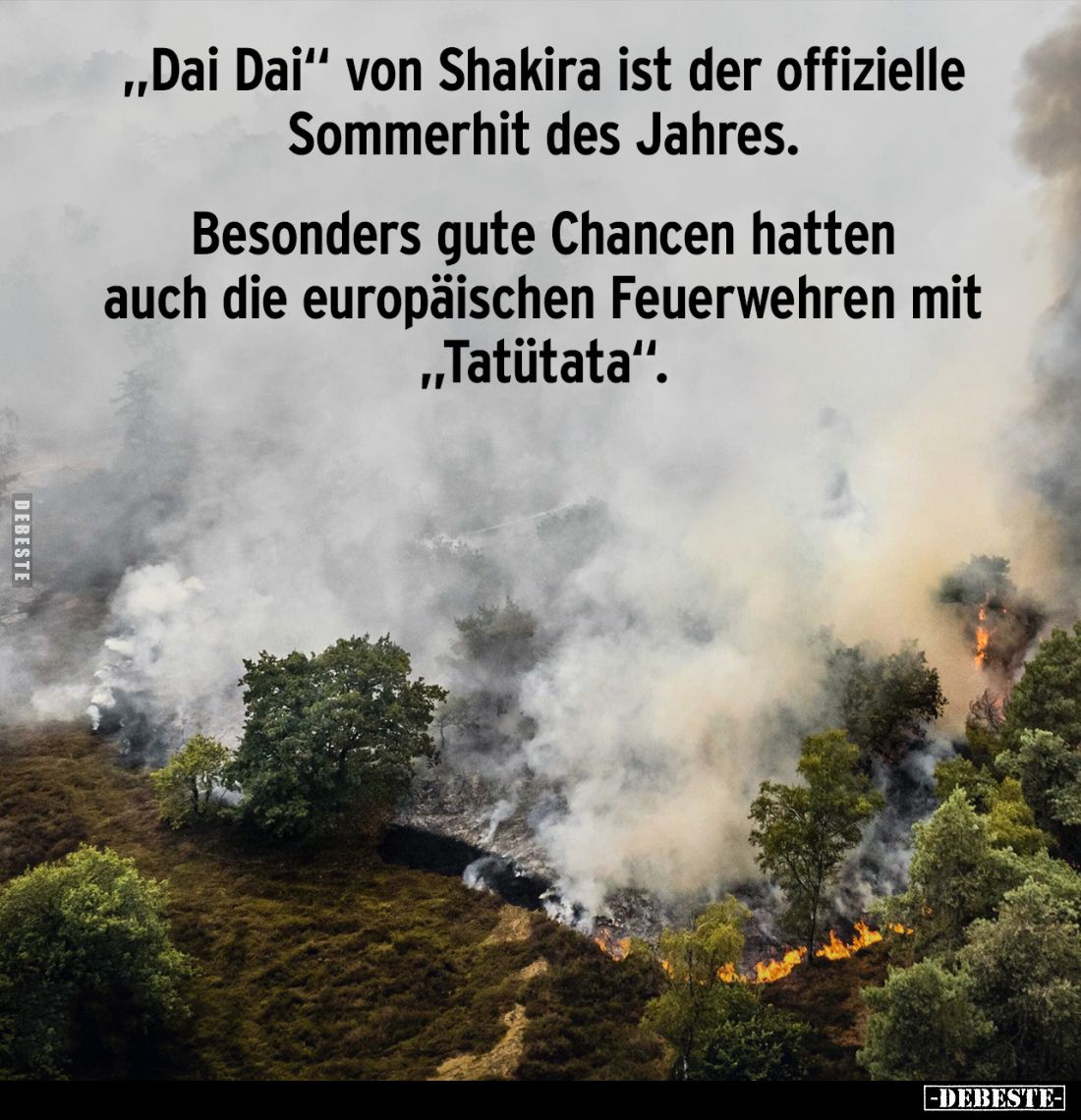 "Dai Dai" von Shakira ist der offizielle Sommerhit des Jahres.
Besonders gute Chancen hatten auch die europäischen...