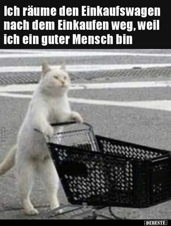 Ich räume den Einkaufswagen nach dem Einkaufen weg, weil.. - Lustige Bilder | DEBESTE.de