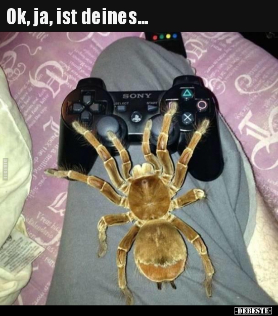 Ok, ja, ist deines...