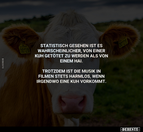 Statistisch gesehen ist es wahrscheinlicher.. - Lustige Bilder | DEBESTE.de