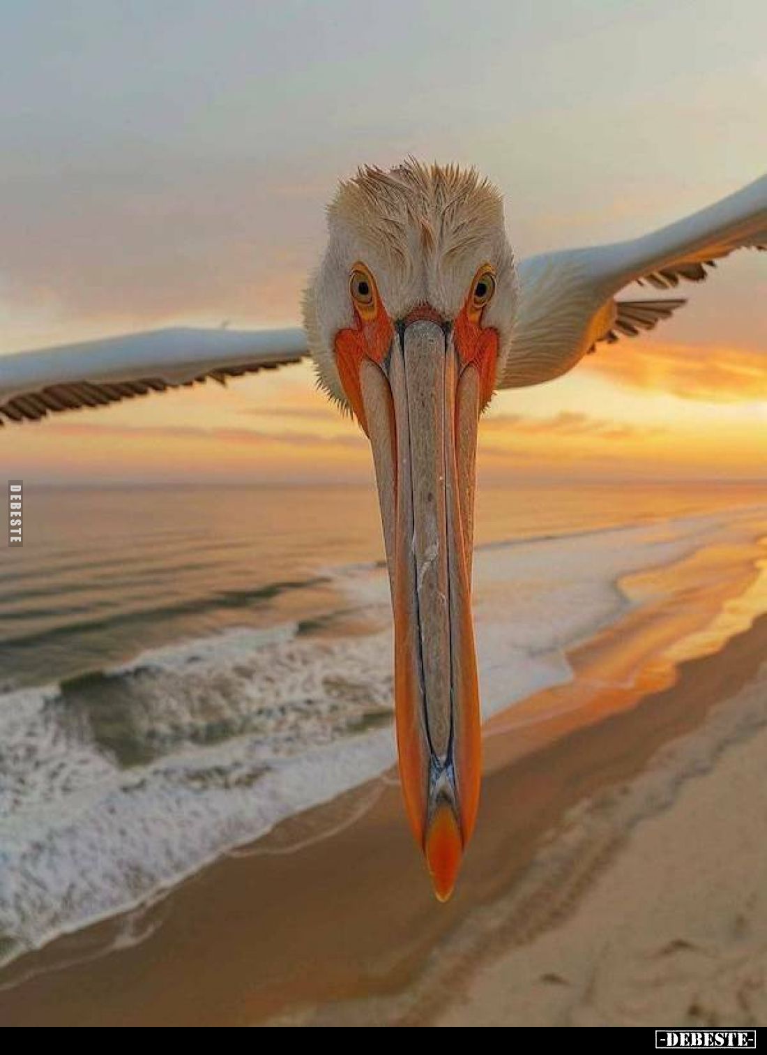  - Lustige Bilder | DEBESTE.de