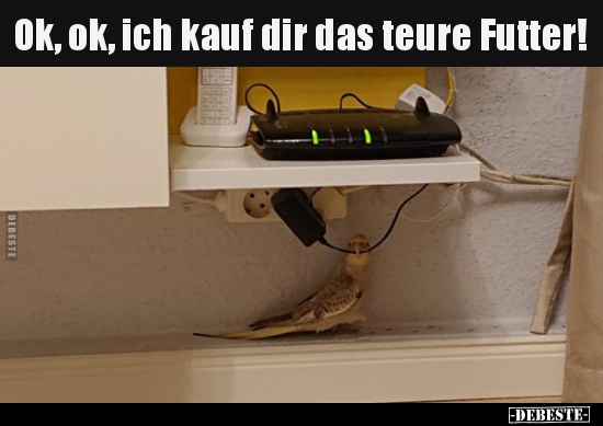 Ok, ok, ich kauf dir das teure Futter!..