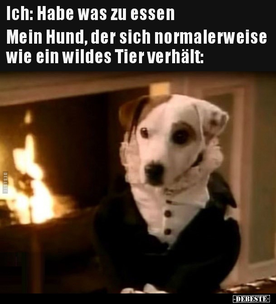 Ich: Habe was zu essen..