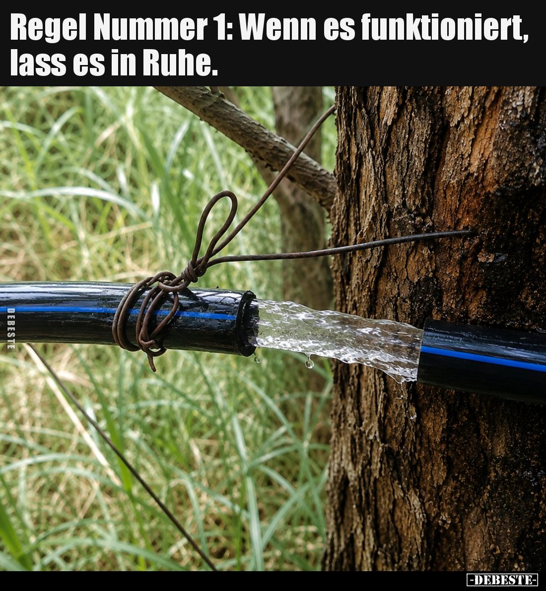 Regel Nummer 1: Wenn es funktioniert, lass es in Ruhe... - Lustige Bilder | DEBESTE.de