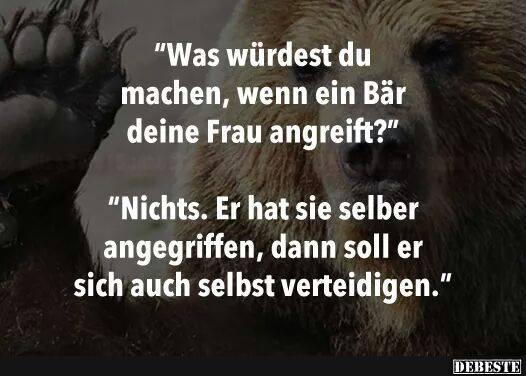 Was würdest du machen, wenn ein Bär..