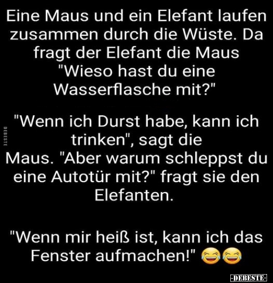 Eine Maus und ein Elefant laufen zusammen durch die Wüste.. - Lustige Bilder | DEBESTE.de