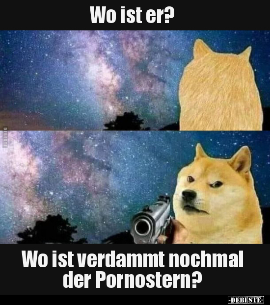 Wo ist er? Wo ist verdammt nochmal der Po*nostern?..