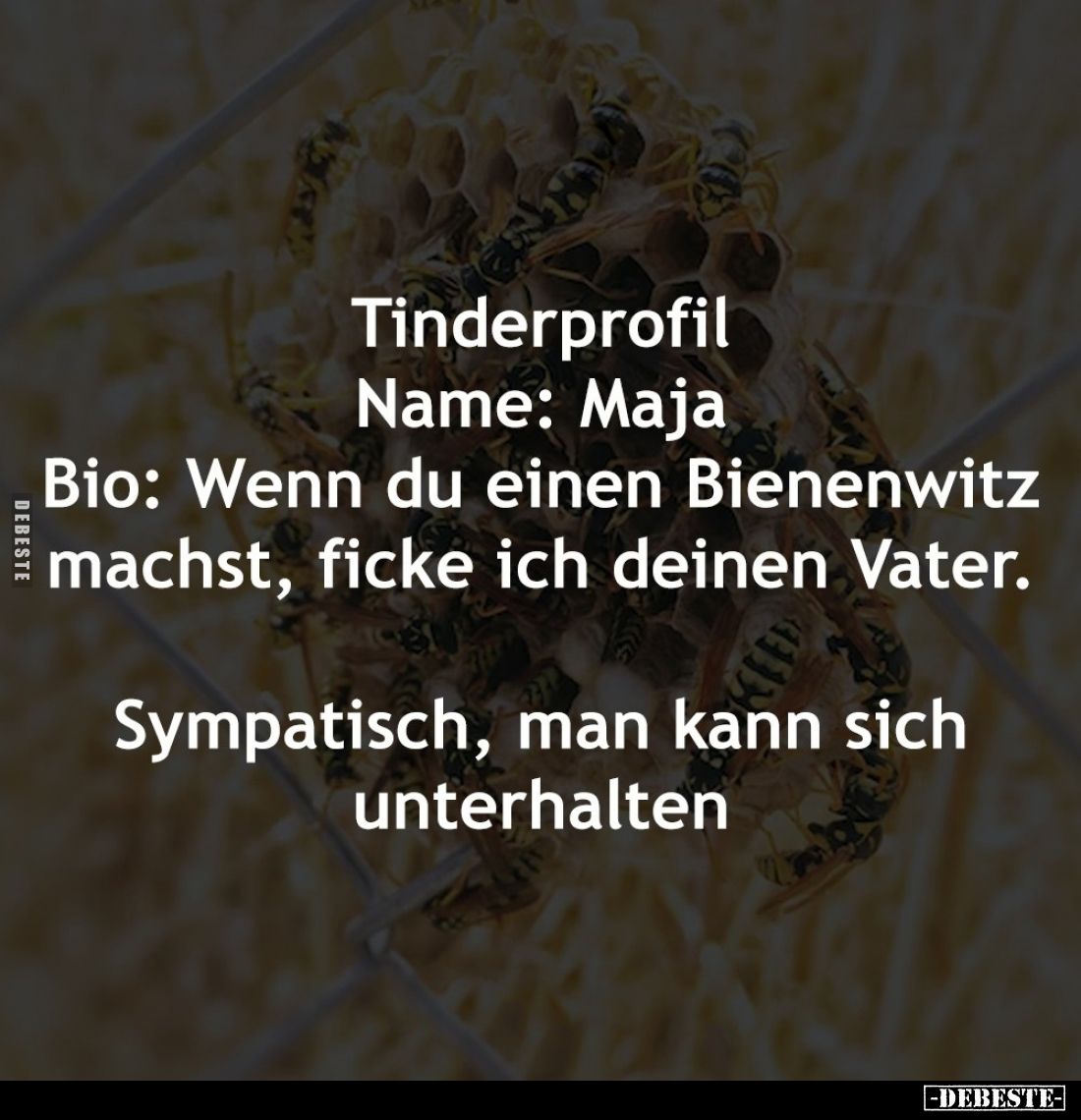 Tinderprofil
Name: Maja
Bio: Wenn du einen Bienenwitz machst, ficke ich deinen Vater.
Sympatisch, man kann sich unterhalte...