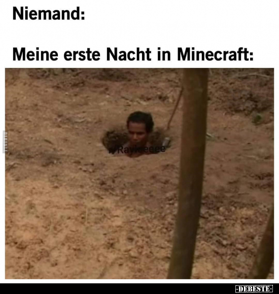Meine erste Nacht in Minecraft.. - Lustige Bilder | DEBESTE.de