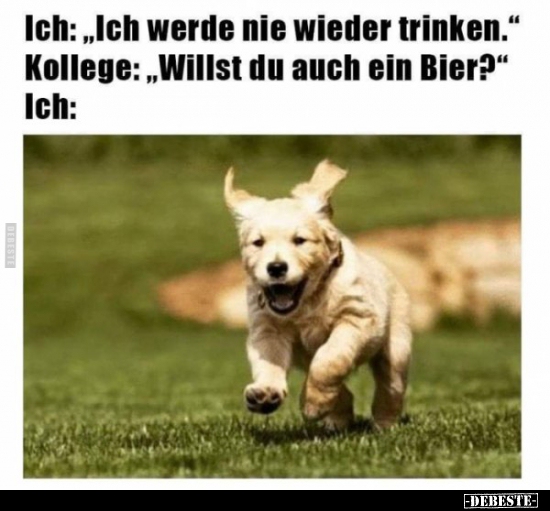 Ich: "Ich werde nie wieder trinken."..