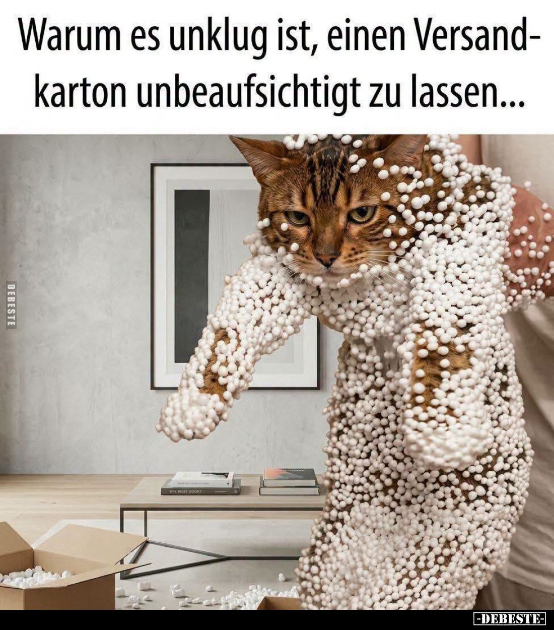 Warum es unklug ist, einen Versandkarton unbeaufsichtigt zu lassen...