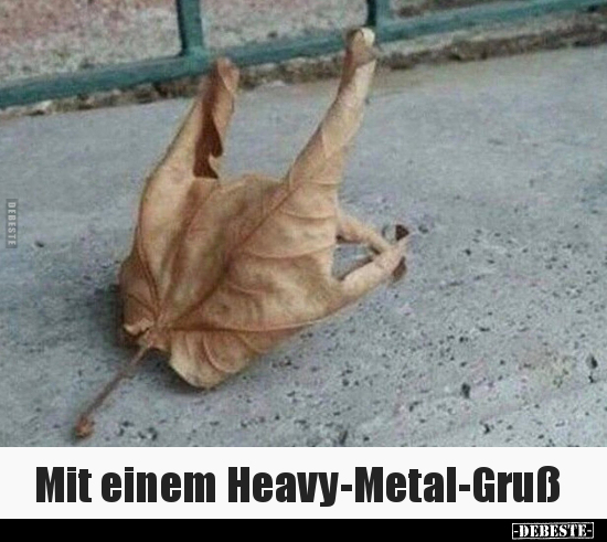 Mit einem Heavy-Metal-Gruß.. - Lustige Bilder | DEBESTE.de