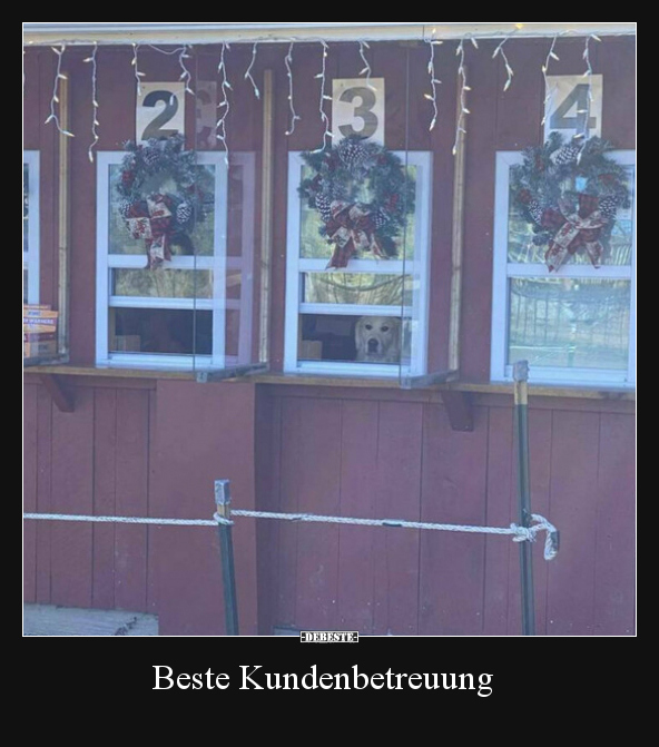 Beste Kundenbetreuung.. - Lustige Bilder | DEBESTE.de