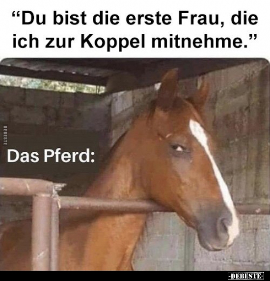 "Du bist die erste Frau, die ich zur Koppel mitnehme.".. - Lustige Bilder | DEBESTE.de