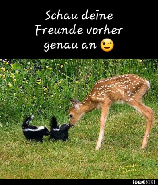 Schau deine Freunde vorher genau an ;)