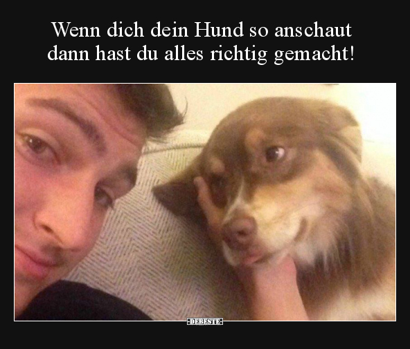 Wenn dich dein Hund so anschaut dann hast du alles.. - Lustige Bilder | DEBESTE.de