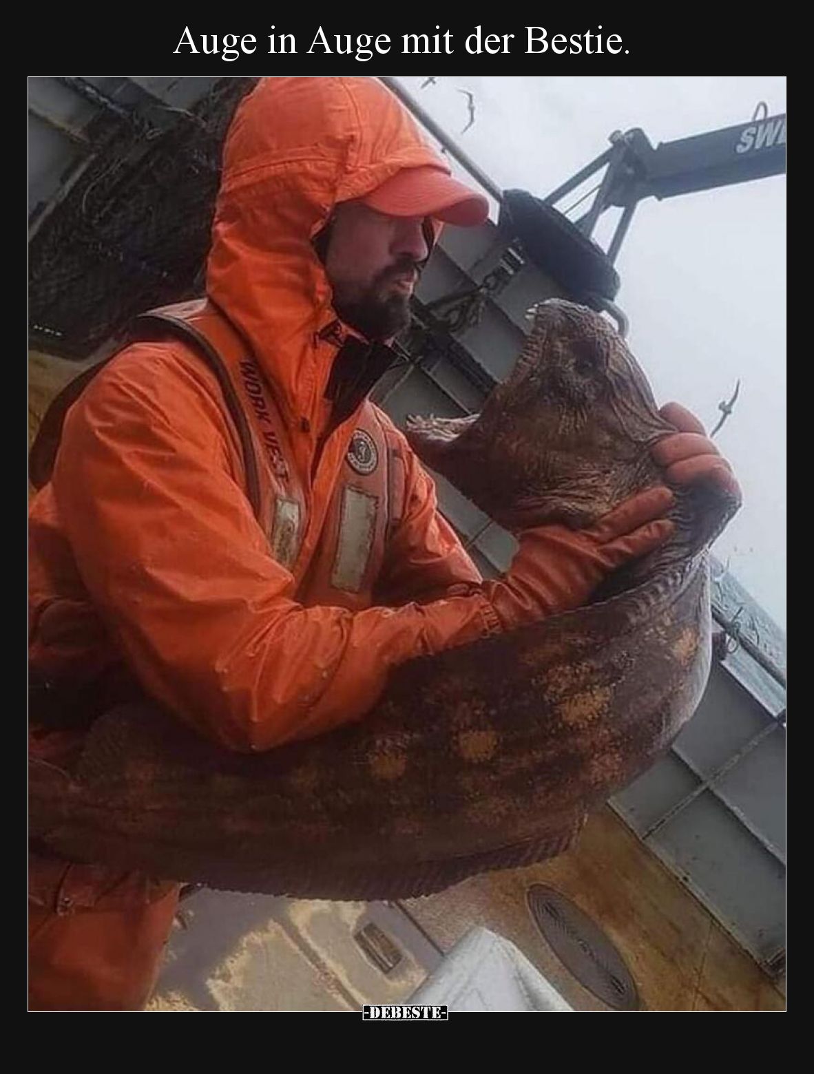 Auge in Auge mit der Bestie.