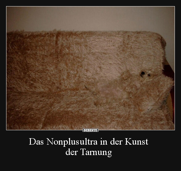 Das Nonplusultra in der Kunst der Tarnung.. - Lustige Bilder | DEBESTE.de