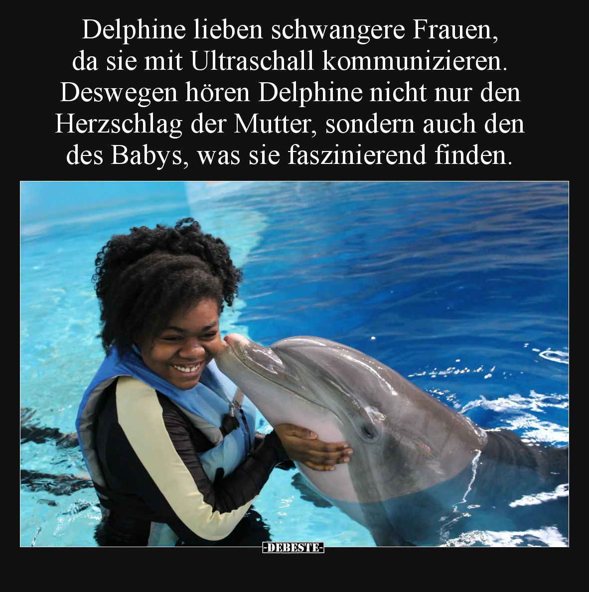 Delphine lieben schwangere Frauen, da sie mit Ultraschall kommunizieren. Deswegen hören Delphine nicht nur den Herzschlag der...