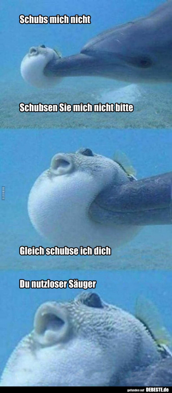Schubs mich nicht..