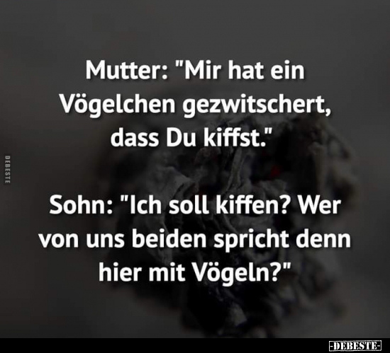 Mutter: "Mir hat ein Vögelchen gezwitschert, dass Du.." - Lustige Bilder | DEBESTE.de