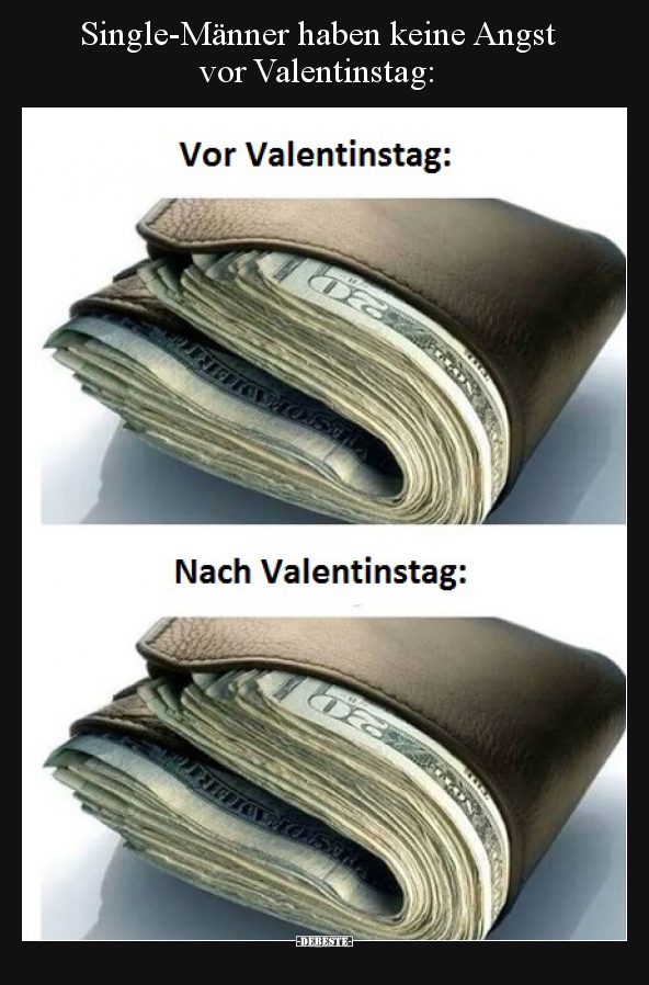 Single Manner Haben Keine Angst Vor Valentinstag Lustige Bilder Spruche Witze Echt Lustig