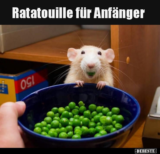 Ratatouille für Anfänger.. - Lustige Bilder | DEBESTE.de