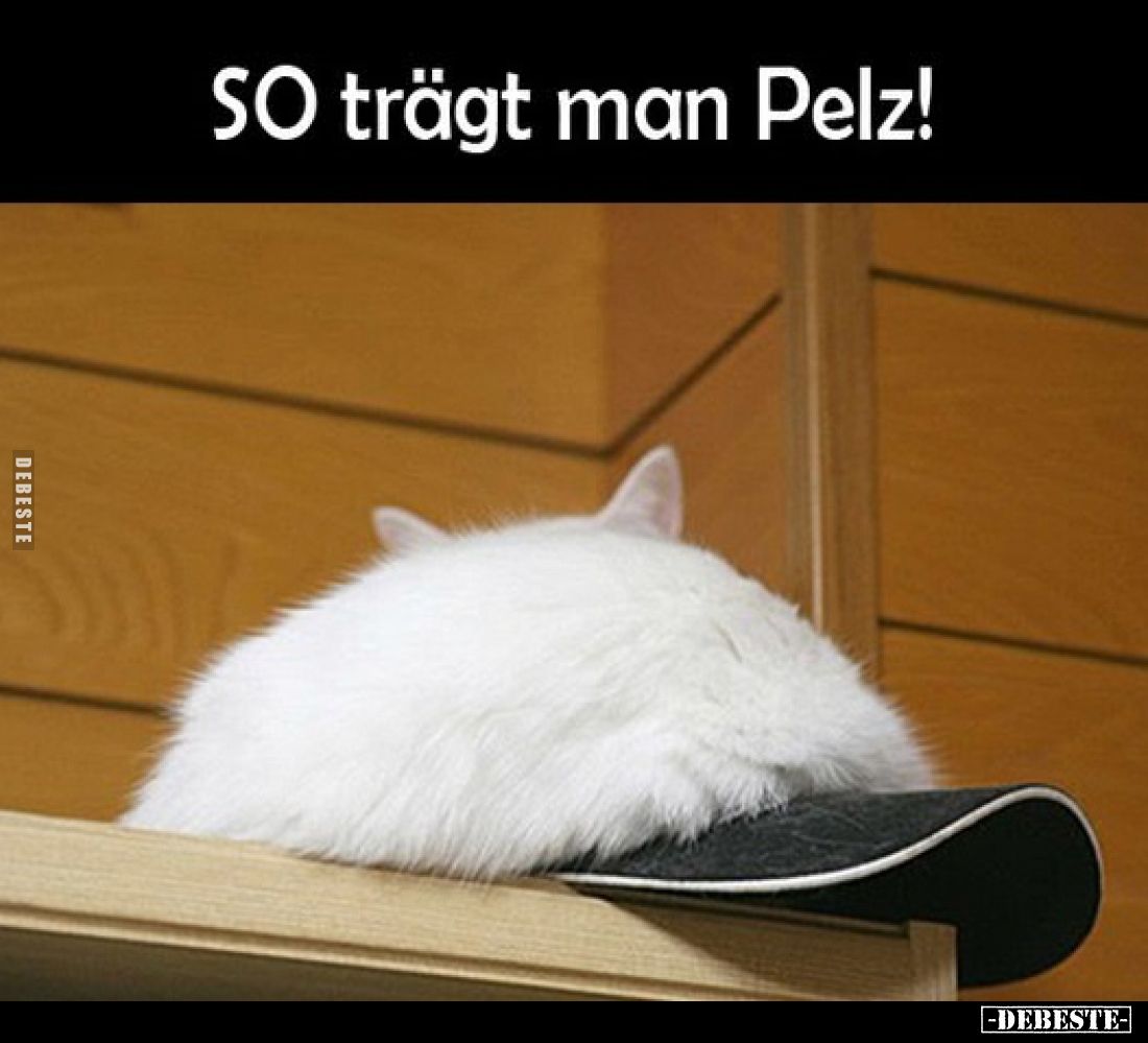 SO trägt man Pelz!