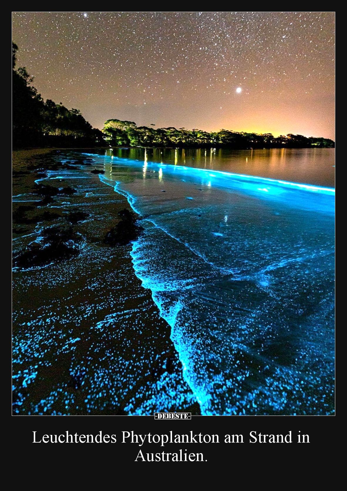 Leuchtendes Phytoplankton am Strand in Australien.
