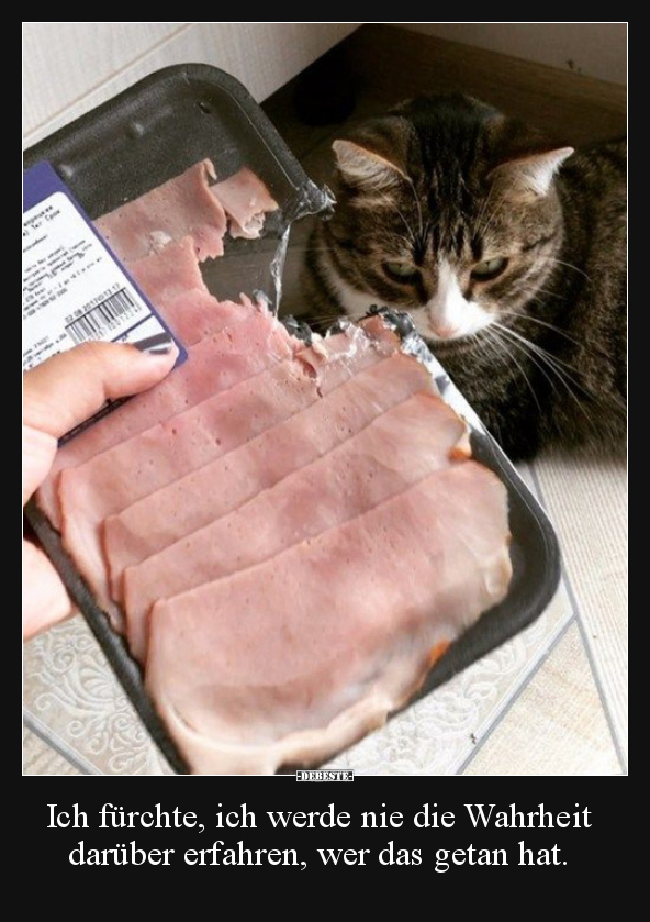 Ich fürchte, ich werde nie die Wahrheit darüber erfahren..