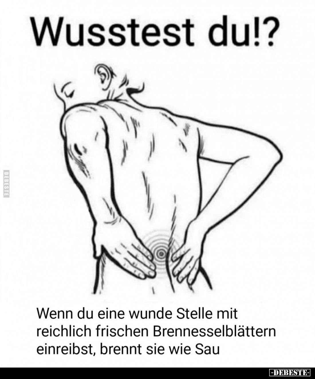  - Lustige Bilder | DEBESTE.de
