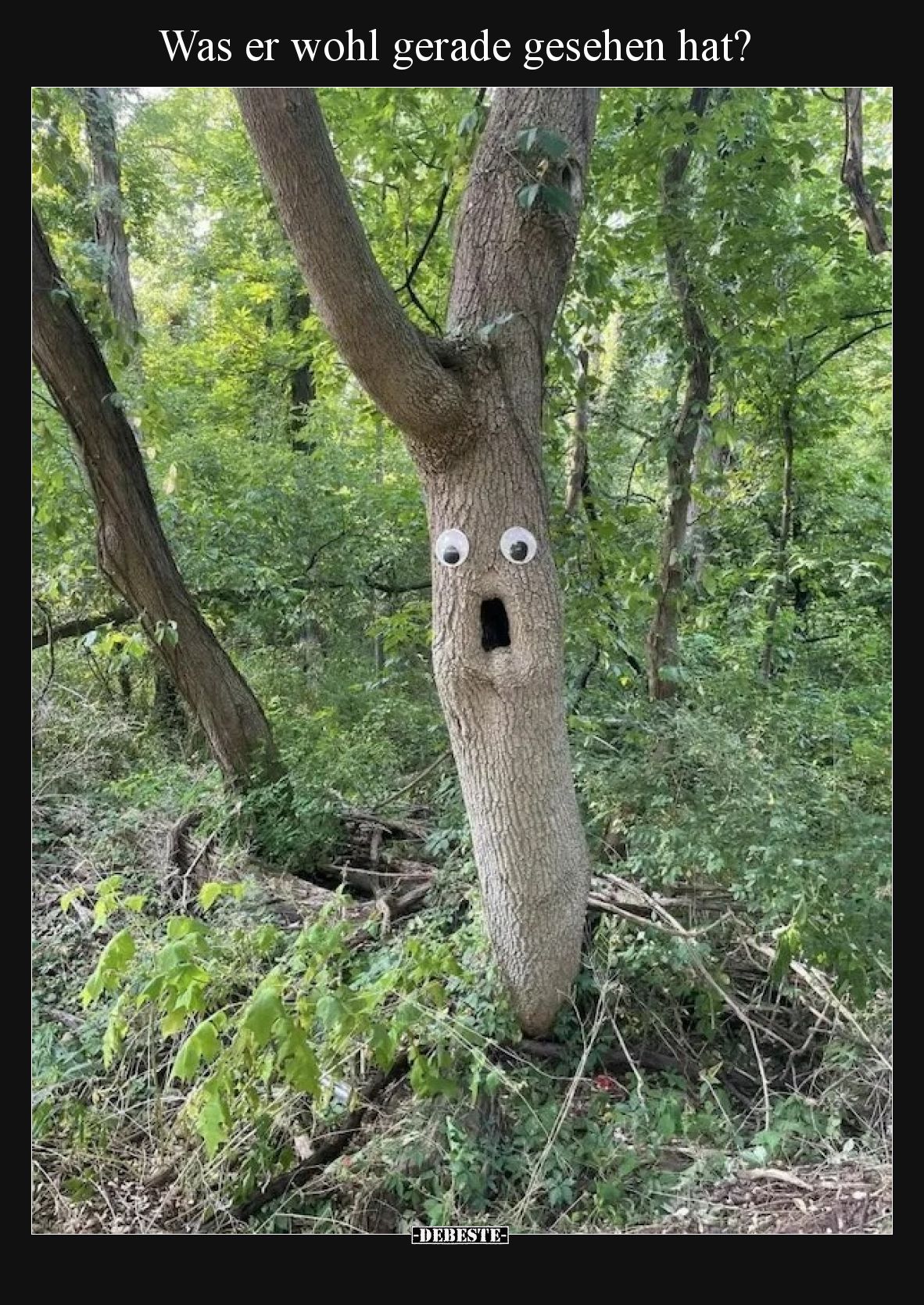 Was er wohl gerade gesehen hat?