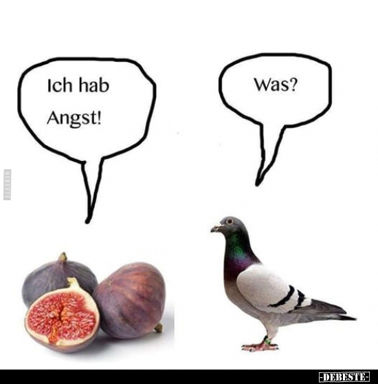 Ich hab Angst! - Was?.. - Lustige Bilder | DEBESTE.de