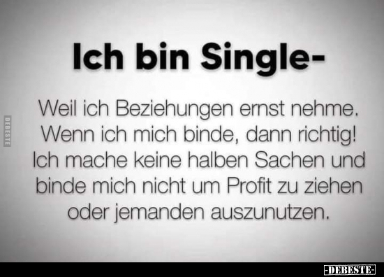 Ich bin Single - Weil ich Beziehungen ernst nehme.. - Lustige Bilder | DEBESTE.de