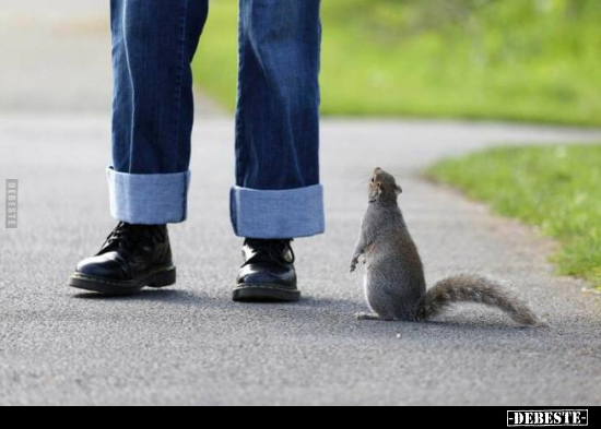  - Lustige Bilder | DEBESTE.de