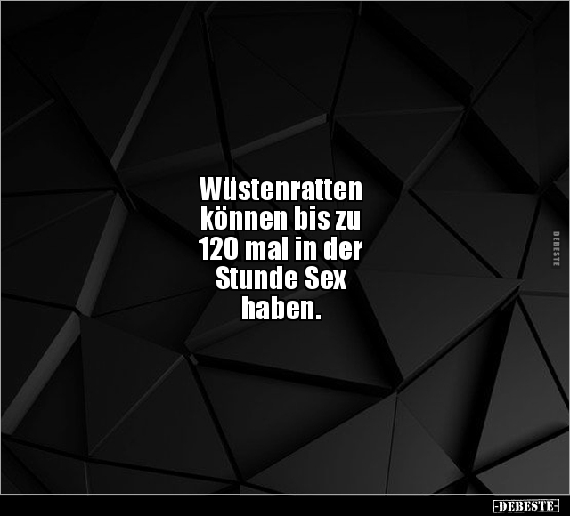 Wüstenratten können bis zu 120 mal in der Stunde.. - Lustige Bilder | DEBESTE.de