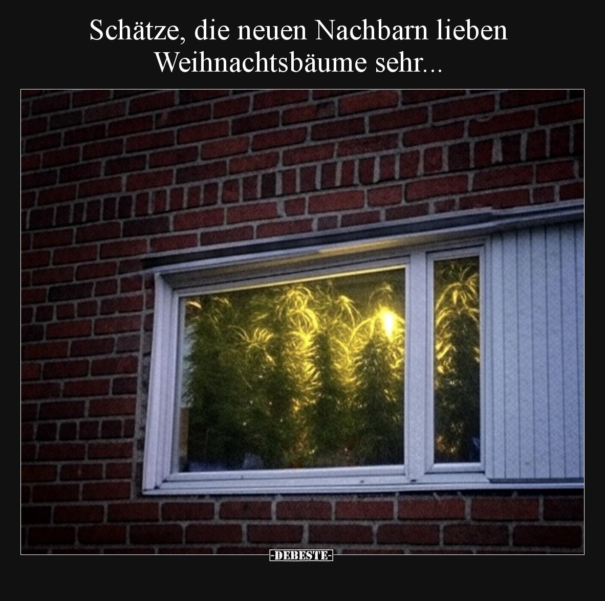 Schätze, die neuen Nachbarn lieben Weihnachtsbäume sehr...