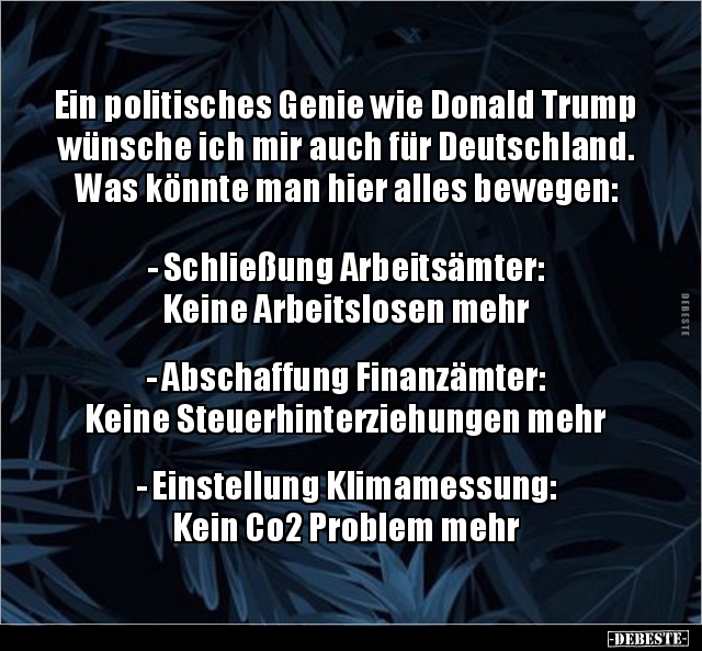 Ein politisches Genie wie Donald Trump wünsche ich mir auch.. - Lustige Bilder | DEBESTE.de