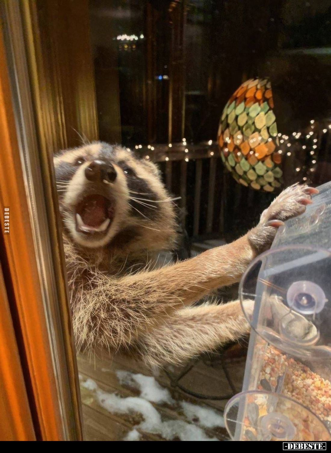  - Lustige Bilder | DEBESTE.de