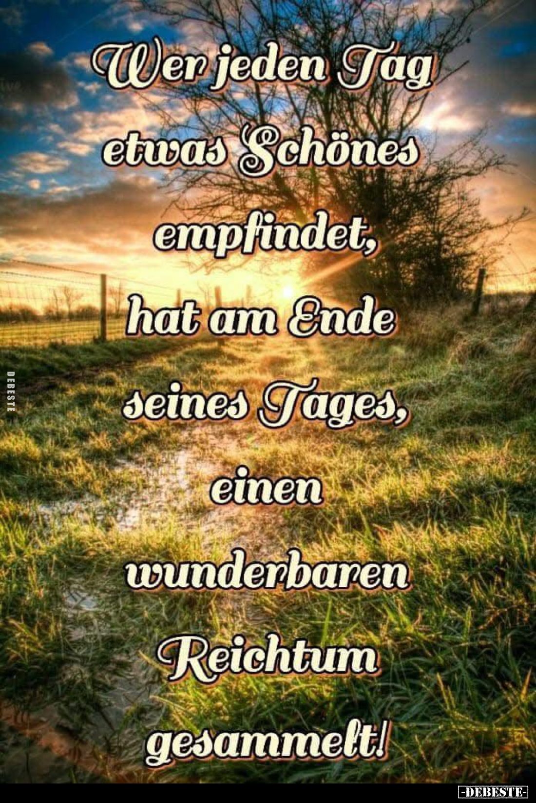 Wer jeden Tag etwas Schönes empfindet, hat am Ende seines Tages, einen wunderbaren Reichtum gesammelt!