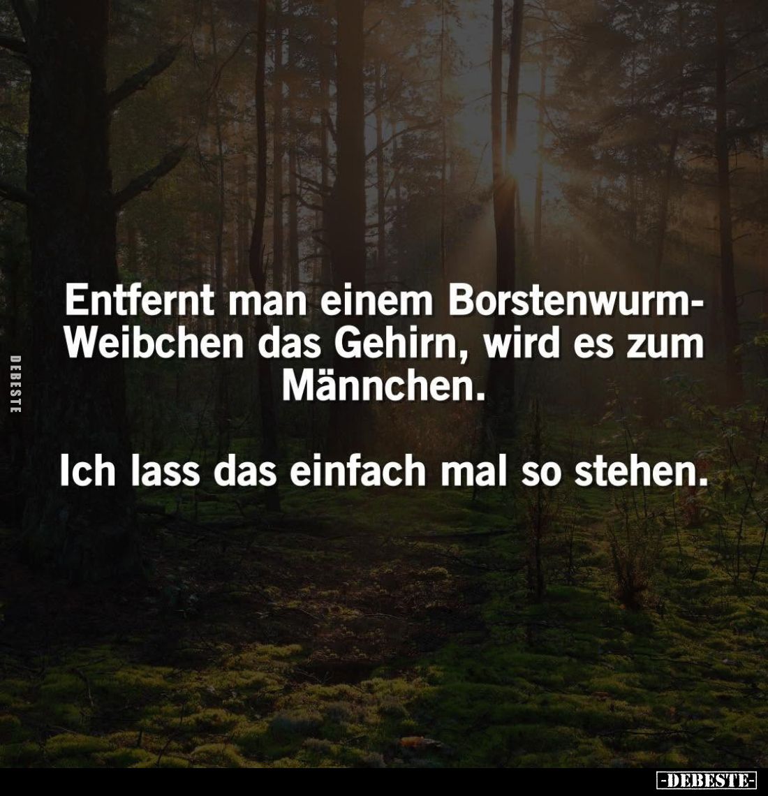 Entfernt man einem Borstenwurm-Weibchen das Gehirn, wird es zum Männchen.
Ich lass das einfach mal so stehen.