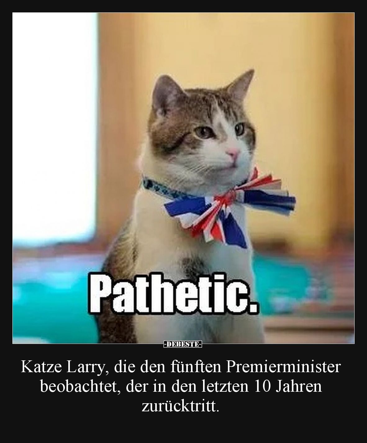 Katze Larry, die den fünften Premierminister beobachtet, der in den letzten 10 Jahren zurücktritt.