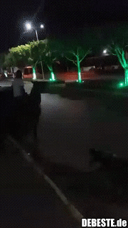 In der Nacht sind alle Pferde grau...