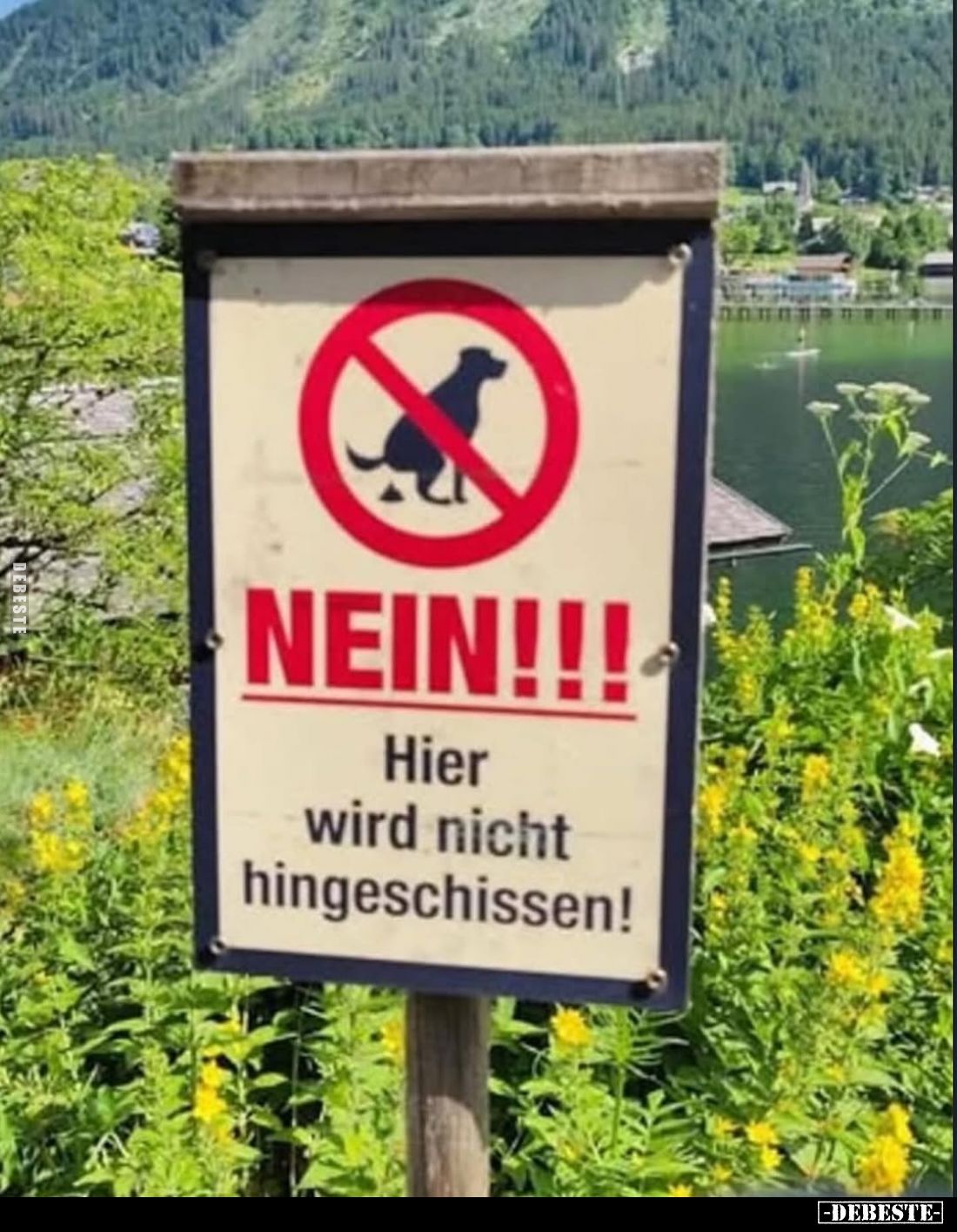 Nein!
Hier wird nicht hingeschissen!