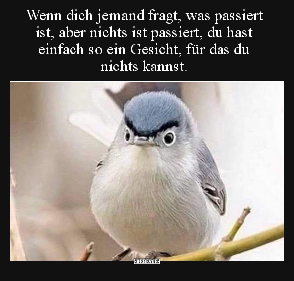 Wenn dich jemand fragt, was passiert ist, aber nichts ist.. - Lustige Bilder | DEBESTE.de