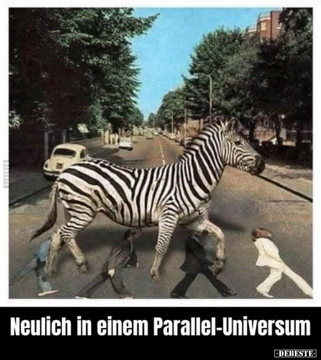 Neulich in einem Parallel-Universum