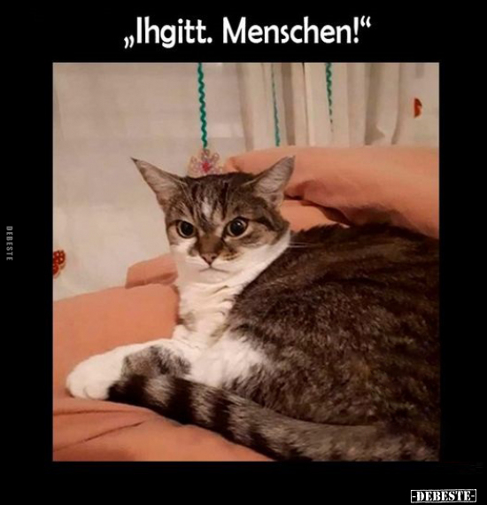 "Ihgitt. Menschen!".. - Lustige Bilder | DEBESTE.de