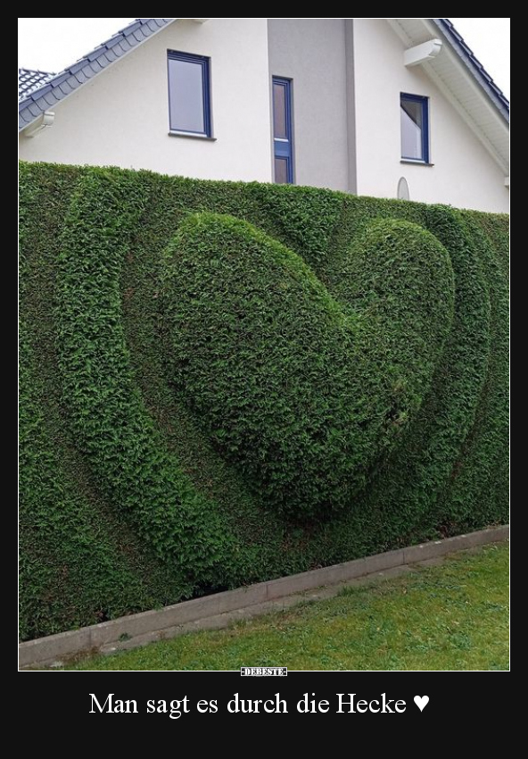 Man sagt es durch die Hecke.. - Lustige Bilder | DEBESTE.de