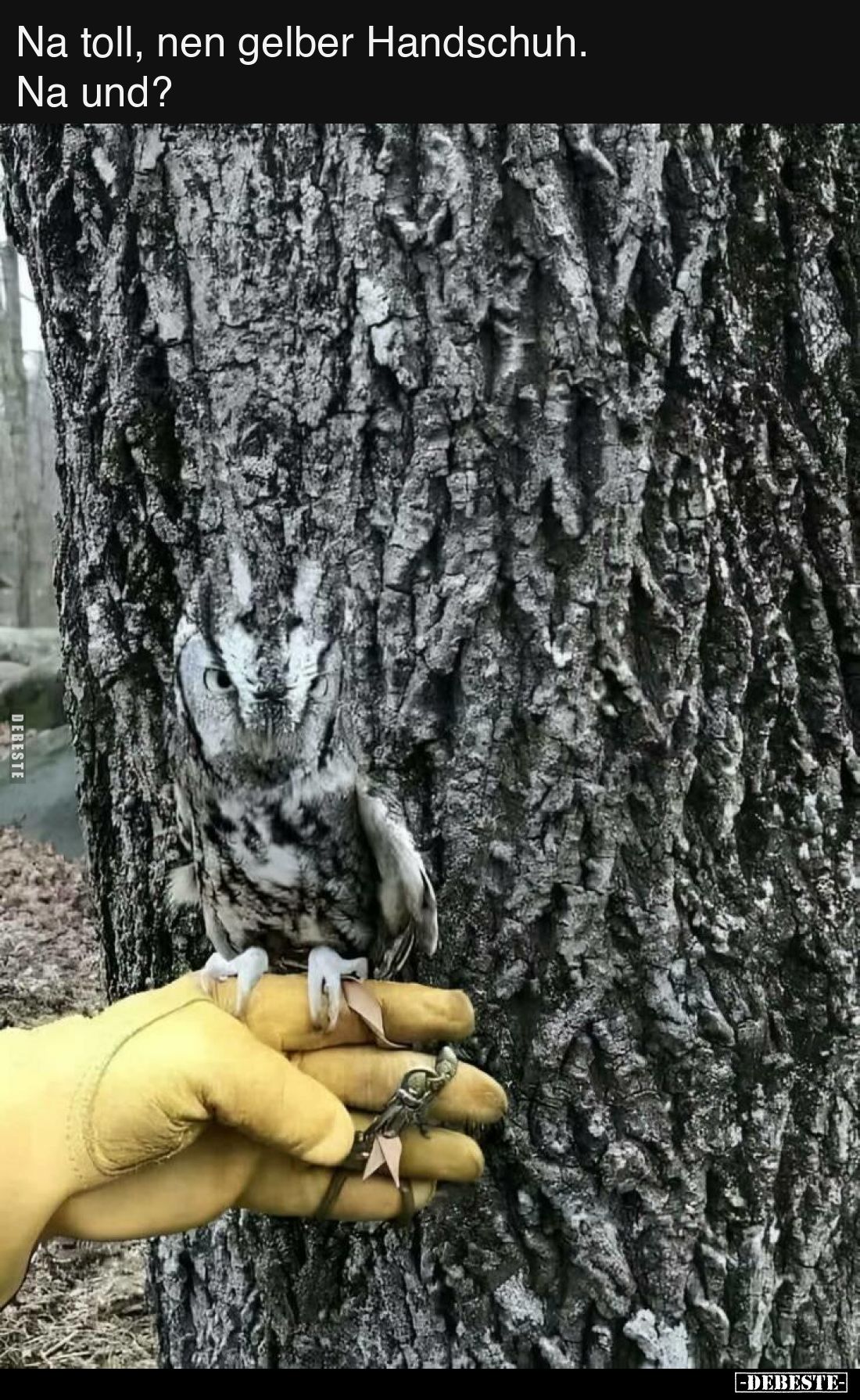 Na toll, nen gelber Handschuh. Na und?..